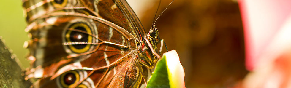 手机号轰炸平台