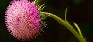 正规平台可信的永久免费轰炸电话网页版